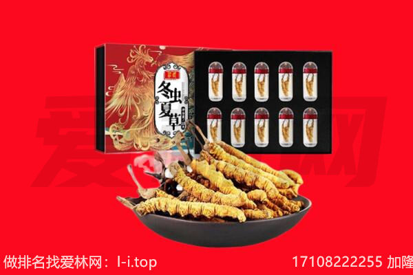 淮南市潘集回收虫草.jpg